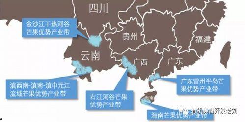 51精产区一区区二免费,免费探索的宝藏之地”